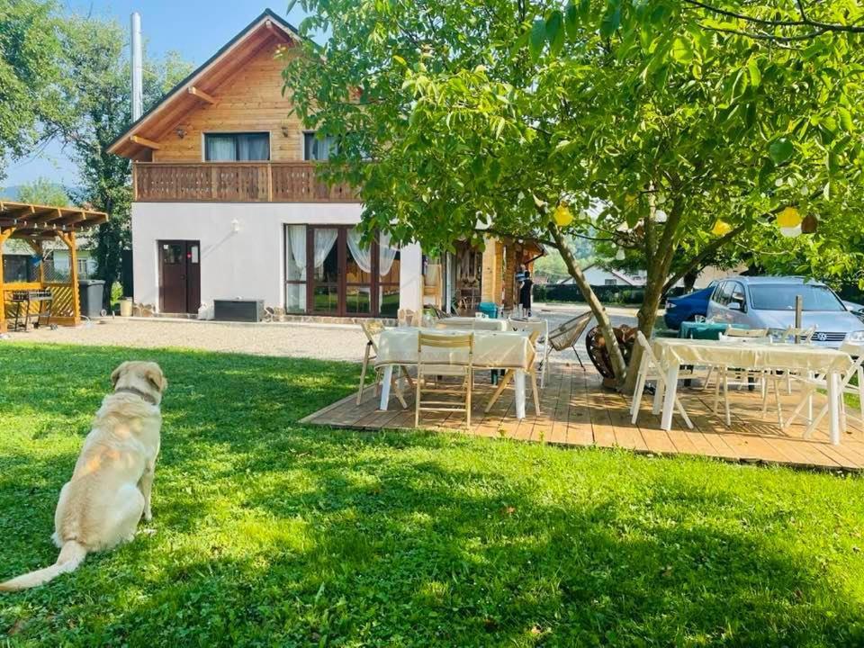 Gradina Lu' Ion "A Home Away From Home" (Adults Only) Vişeu de Sus Dış mekan fotoğraf