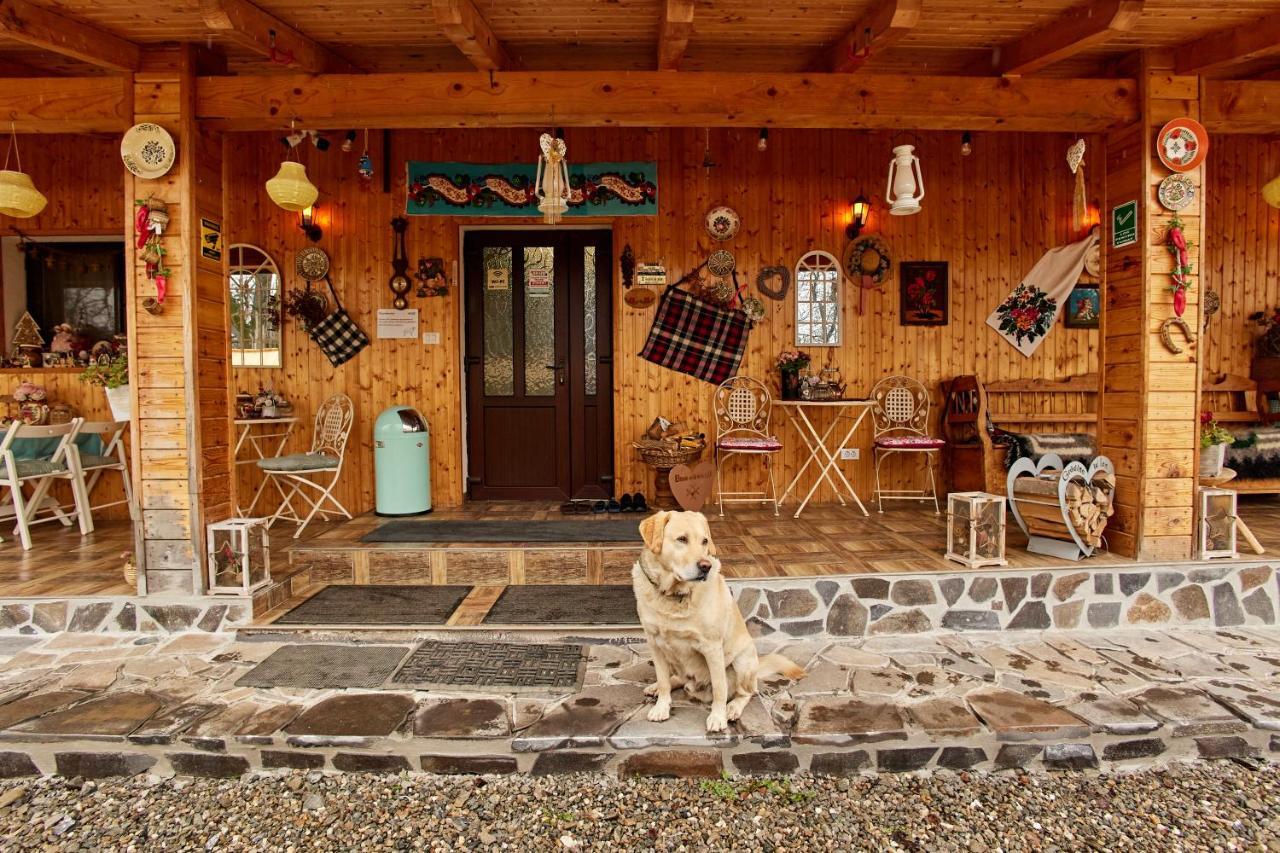 Gradina Lu' Ion "A Home Away From Home" (Adults Only) Vişeu de Sus Dış mekan fotoğraf