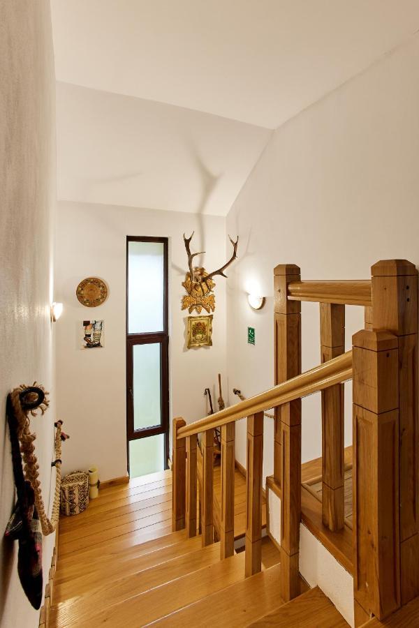 Gradina Lu' Ion "A Home Away From Home" (Adults Only) Vişeu de Sus Dış mekan fotoğraf