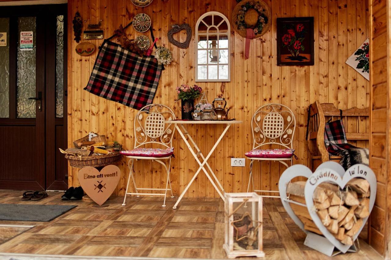 Gradina Lu' Ion "A Home Away From Home" (Adults Only) Vişeu de Sus Dış mekan fotoğraf