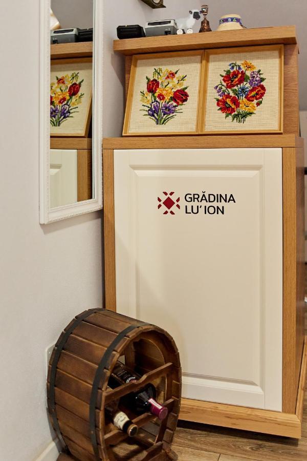Gradina Lu' Ion "A Home Away From Home" (Adults Only) Vişeu de Sus Dış mekan fotoğraf